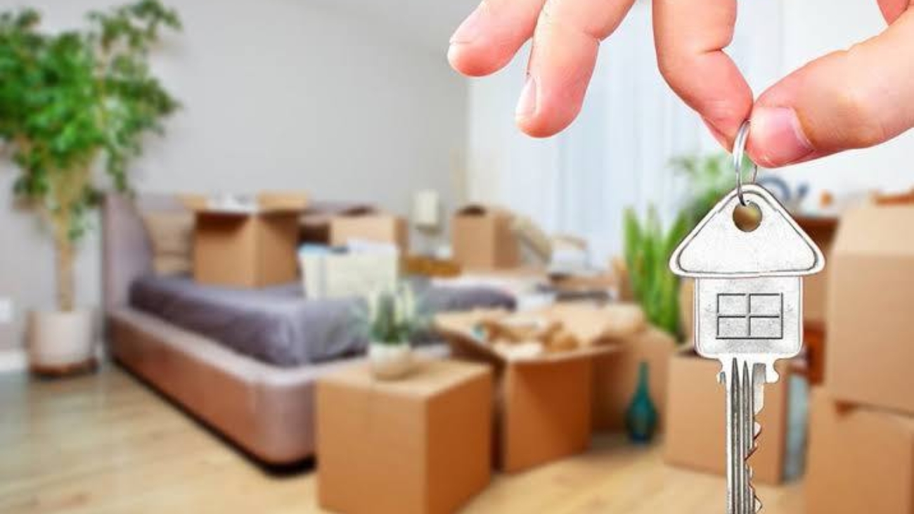 photo_2026-01-20_20-12-34