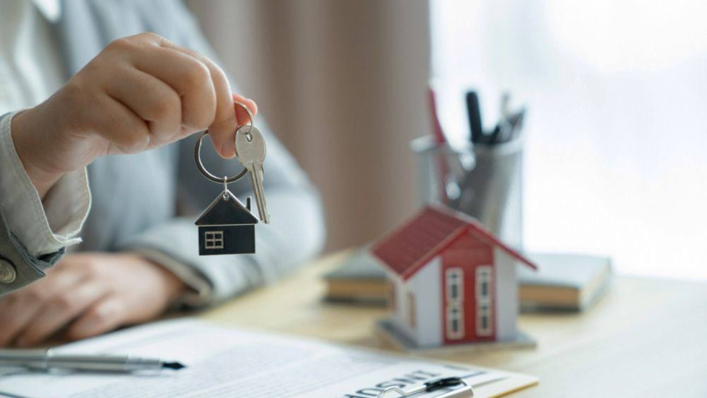 photo_2026-02-05_14-49-57