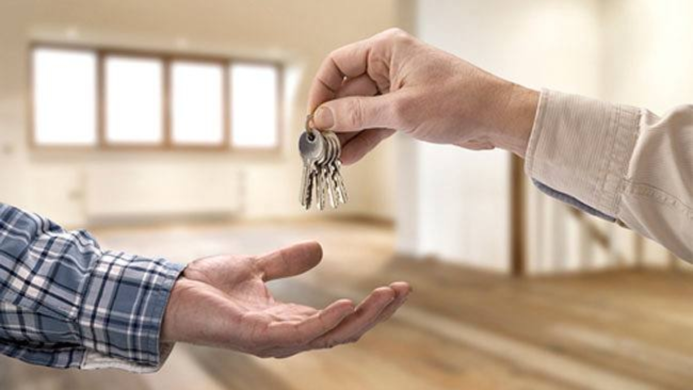 photo_2026-02-10_16-50-39