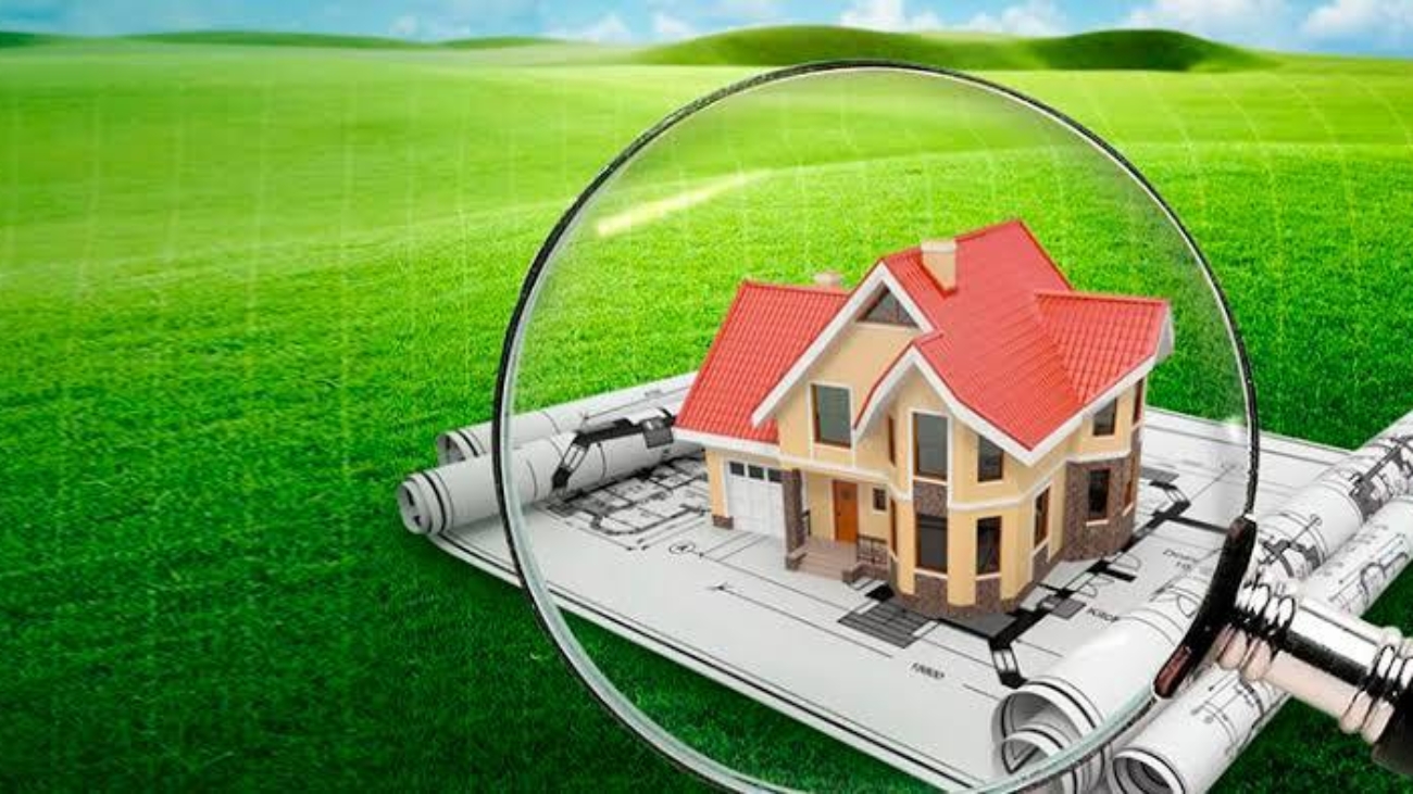 photo_2026-02-10_16-50-43