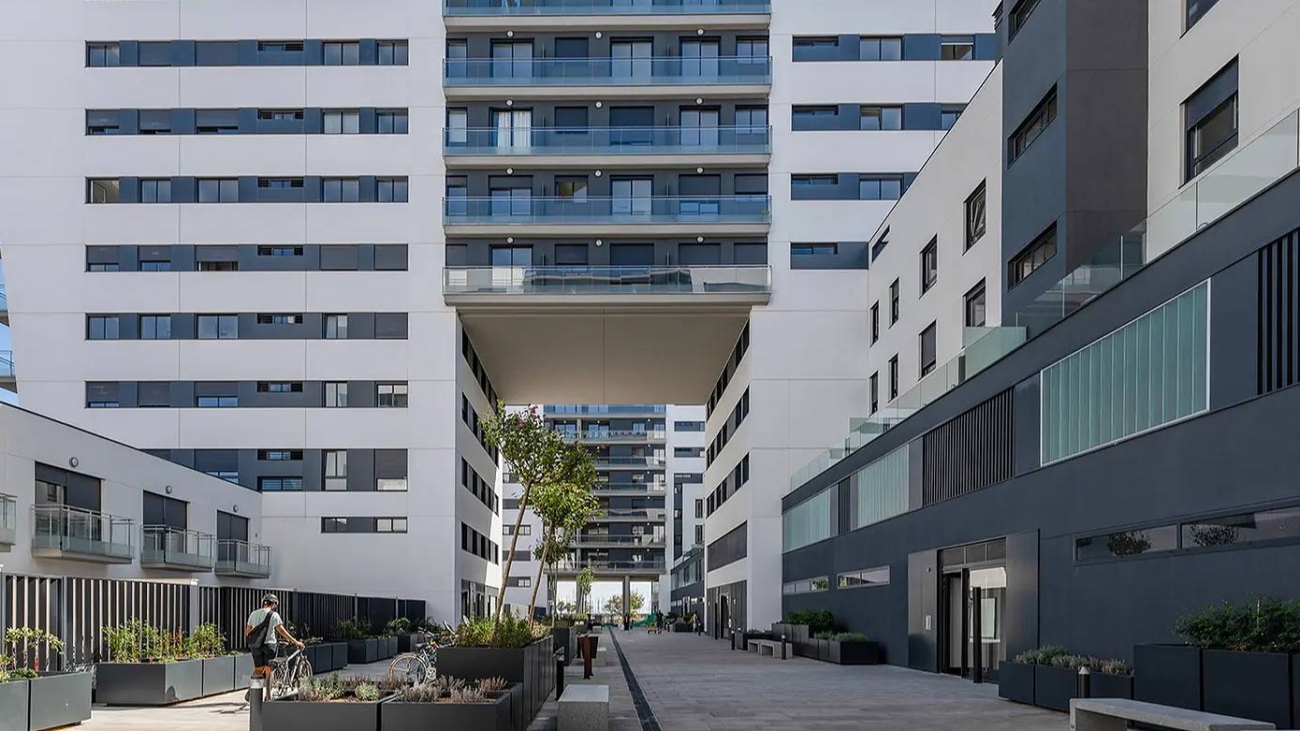 photo_2026-02-11_17-59-47