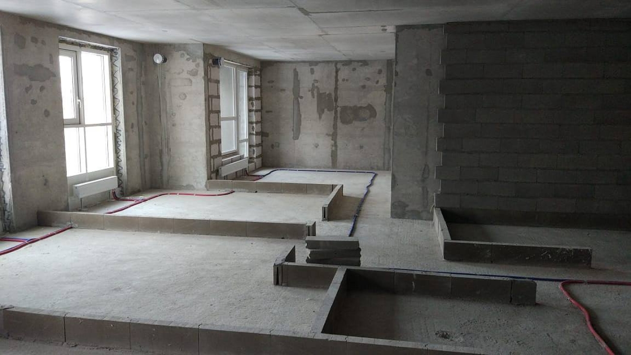 photo_2026-02-12_15-57-26