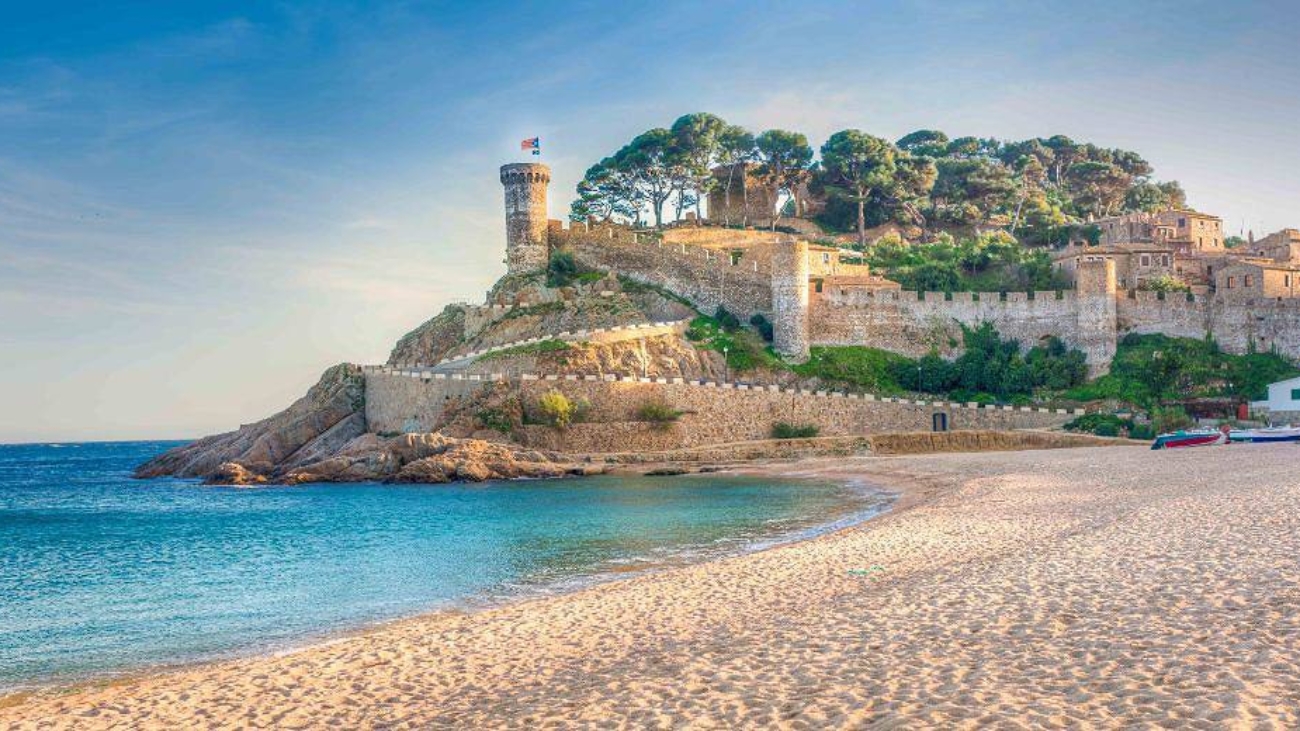 photo_2026-02-20_14-09-30